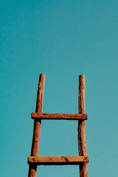 Plantex Foldable Ladder deal